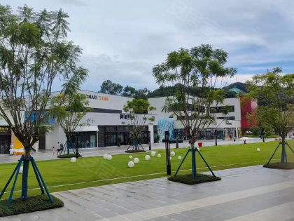 省紡織廠宿舍居住體驗(yàn)全解析 優(yōu)勢、不足、物管與周邊中介評價(jià)